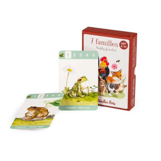 Activity Set - HAPPY FAMILIES, Matching Card Game