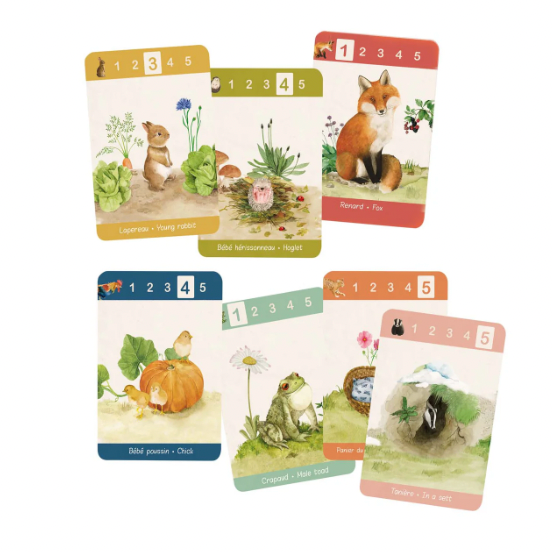 Activity Set - HAPPY FAMILIES, Matching Card Game