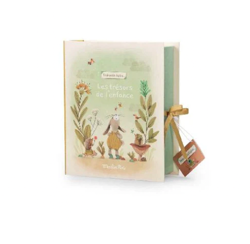 Newborn Baby Memory Box - COFFRET DE NAISSANCE, in French only!