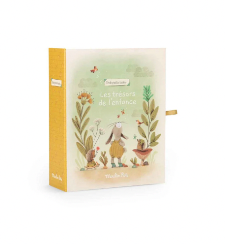 Newborn Baby Memory Box - COFFRET DE NAISSANCE, in French only!