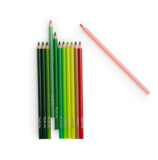 Colouring Pencils, Art - 12 NATURE COLOURS, with 3 colouring cards