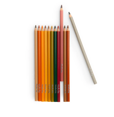 Colouring Pencils Art - 12 ANIMAL COLOURS, with 3 colouring cards