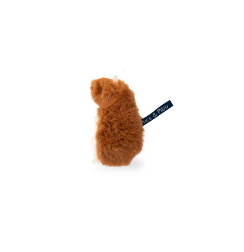 Baby Teeth Collector HAMSTER Tooth Fairy