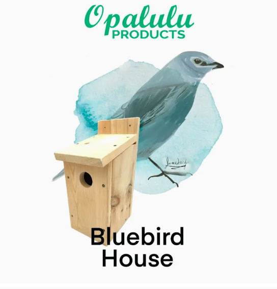 Crafting Kit - Wooden BLUEBIRD 💙 HOUSE, everything you need!