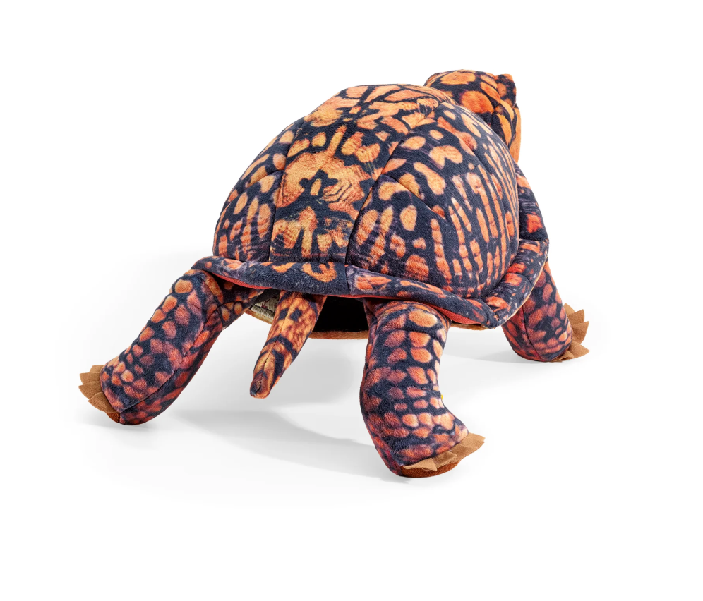 Soft Puppet Toy - North American BOX TURTLE