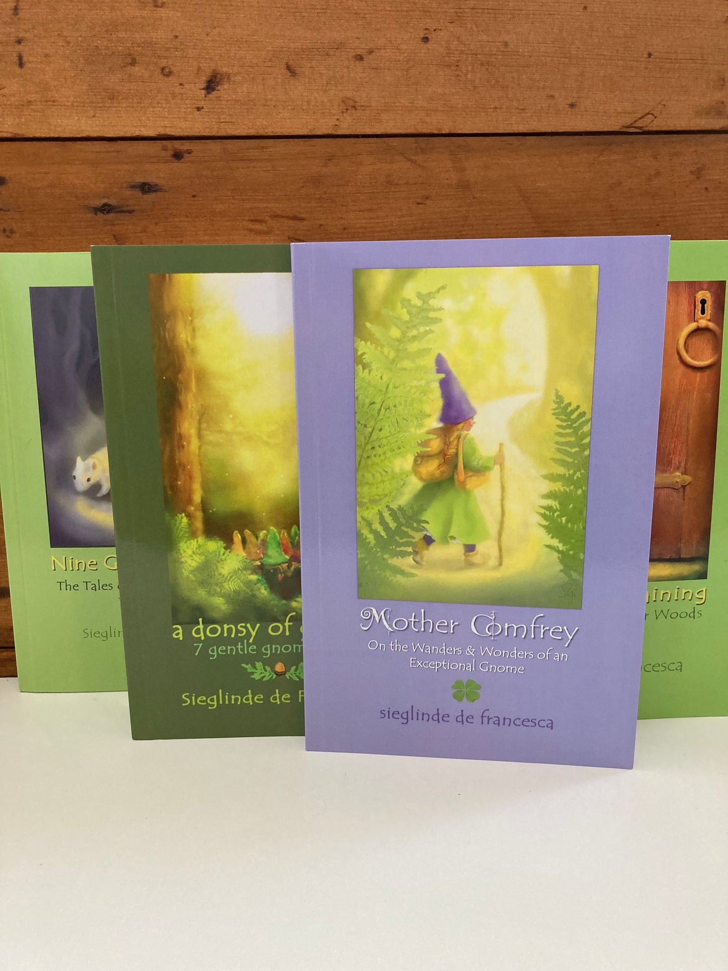 Chapter Book for Young Readers - New! SWEET DREAMS FROM LIMINDOOR WOODS