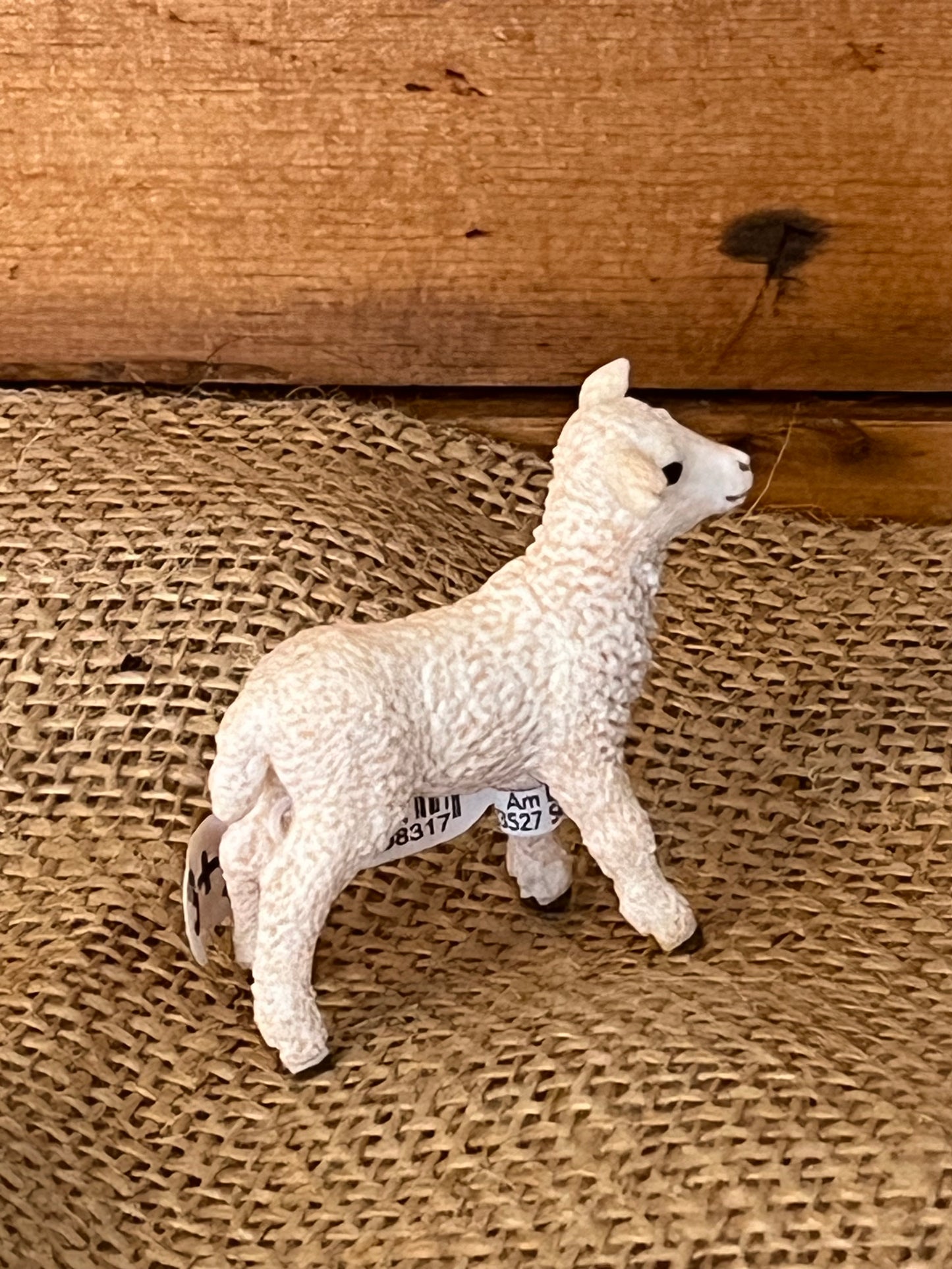 Farm Animals for Dollhouse Play - DORSET LAMB by Schleich