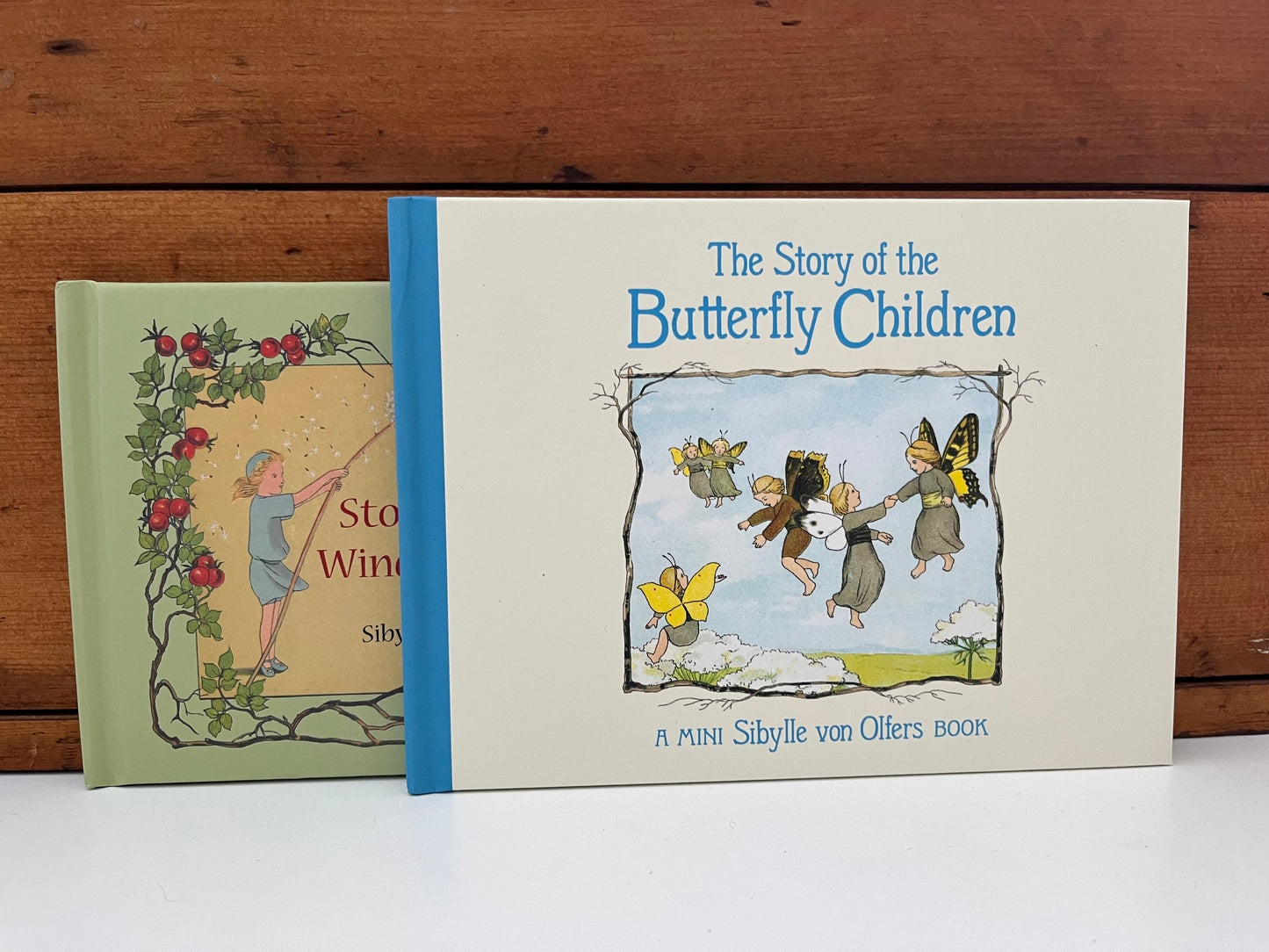 Livre d'images pour enfants - L'HISTOIRE DES ENFANTS PAPILLONS, format mini !
