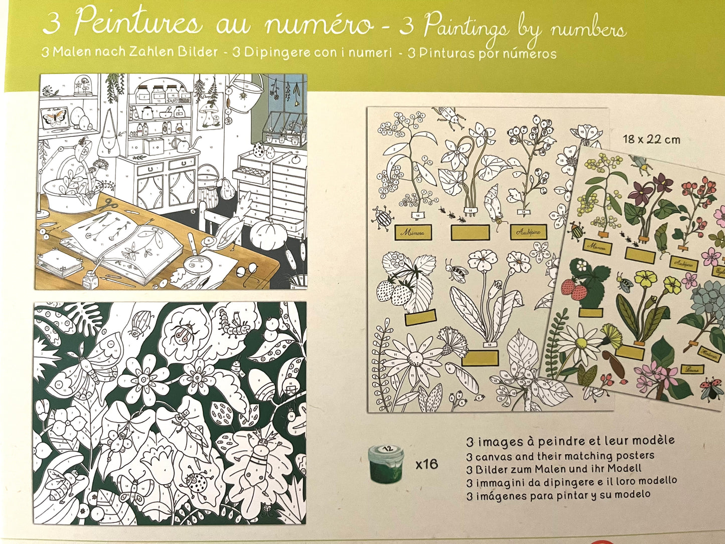 Art Activity Set - PAINT BY NUMBERS, BOTANICAL Scenes, 3 Paintings