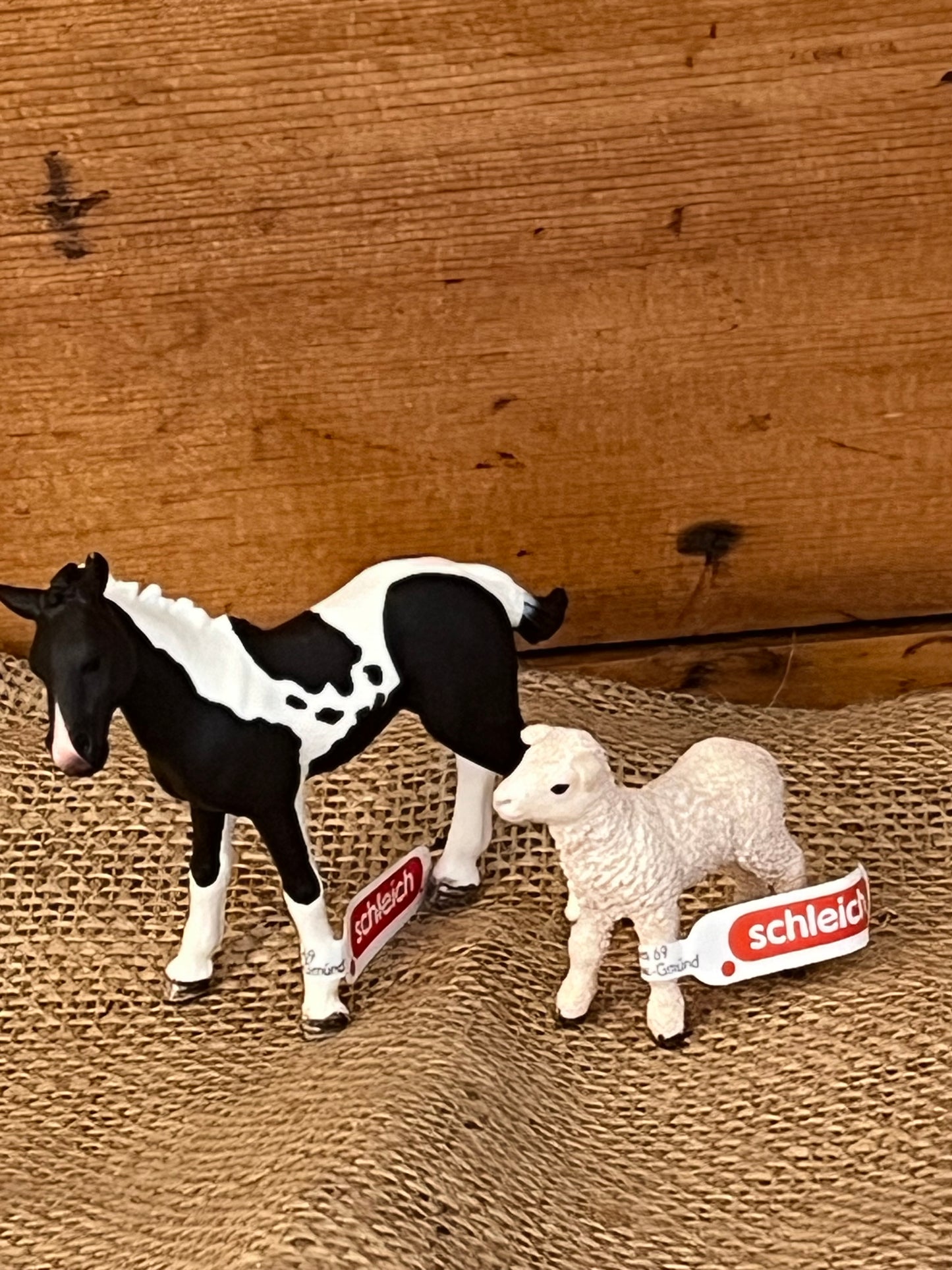 Farm Animals for Dollhouse Play - PINTO FOAL by Schleich