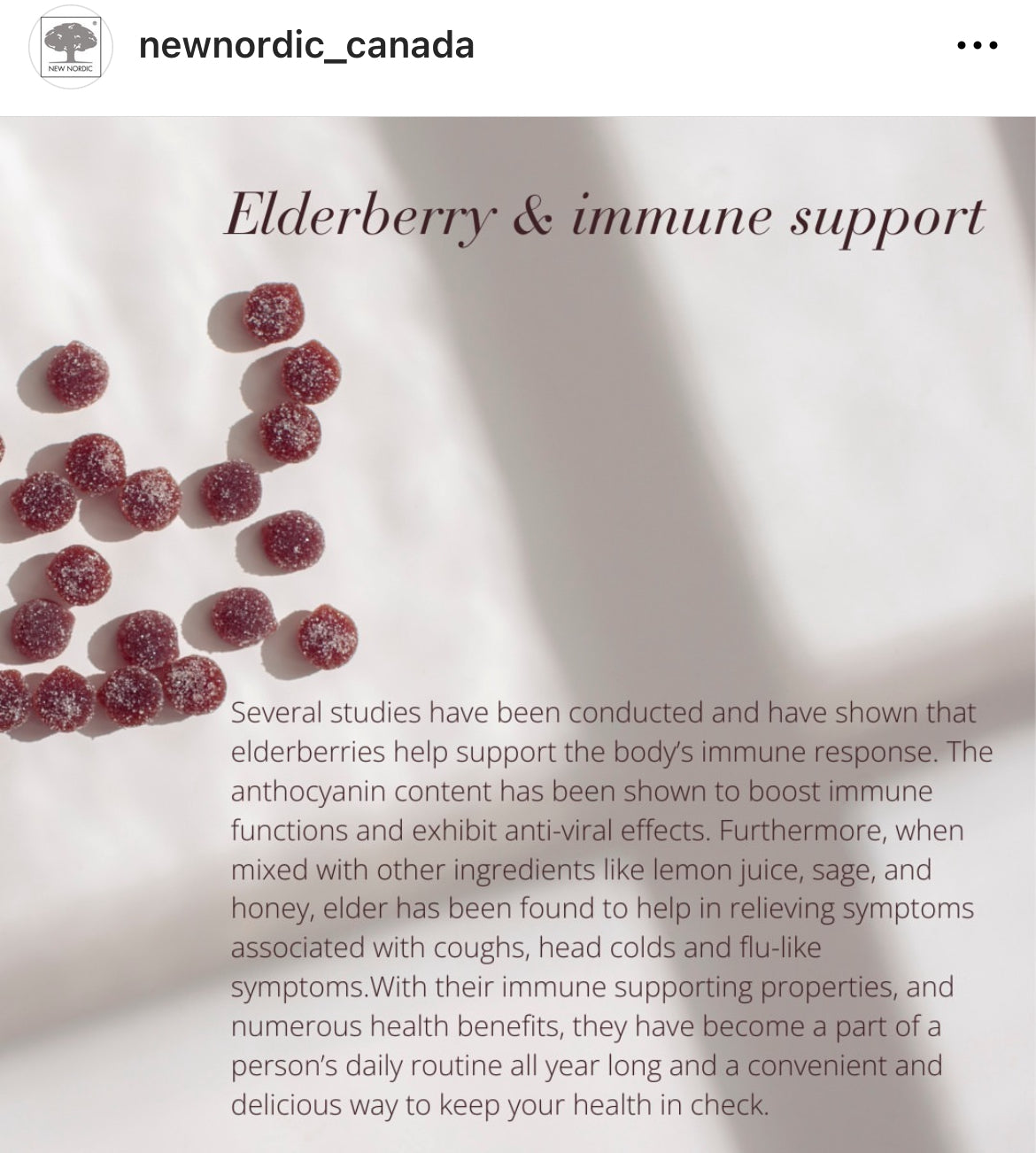 Holistic Health - New Nordic ELDERBERRY ACTIVE IMMUNE, NEW! Elderberry GUMMIES!