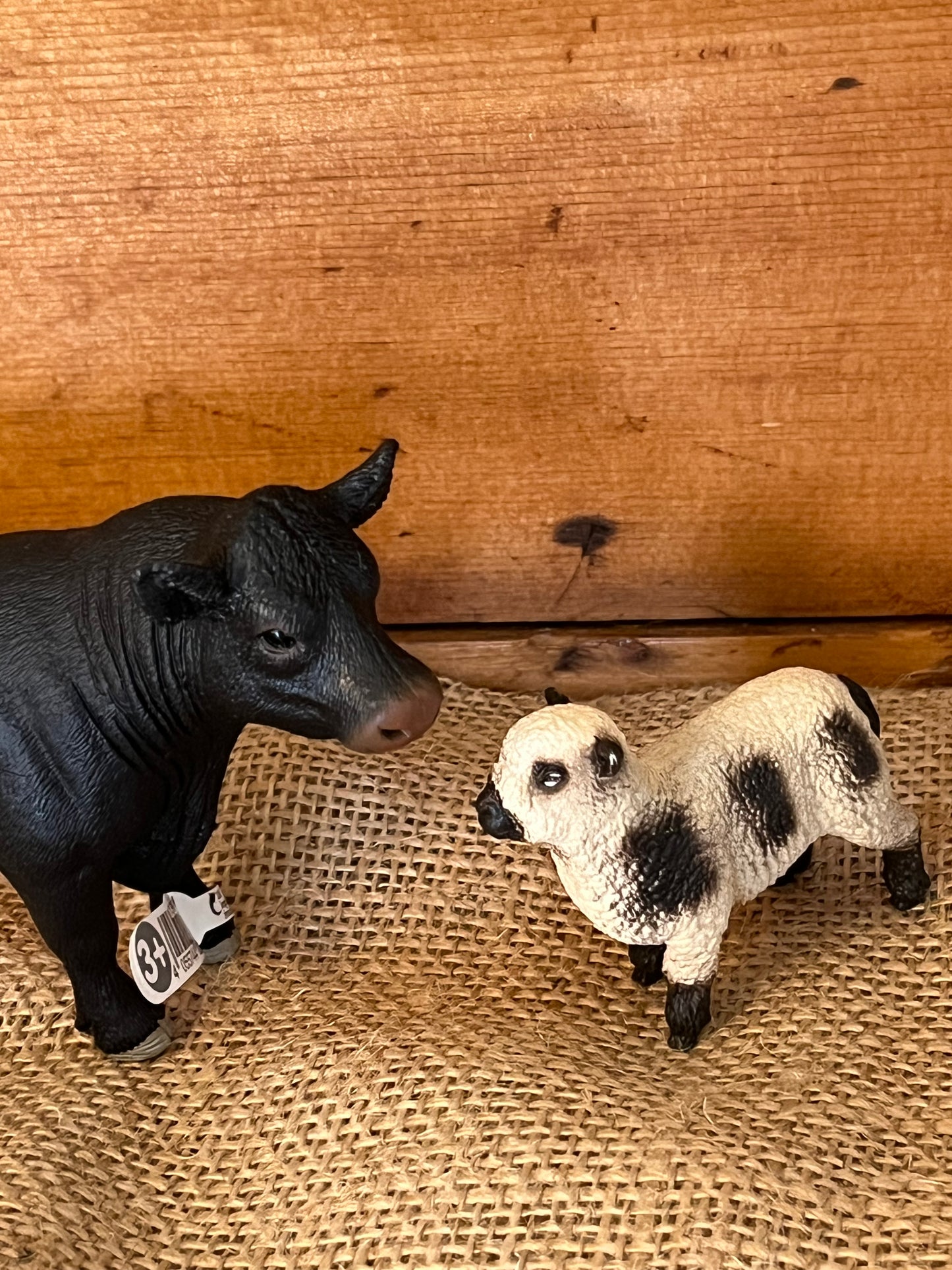 Farm Animals for Dollhouse Play - SOUTHDOWN SHEEP by Schleigh