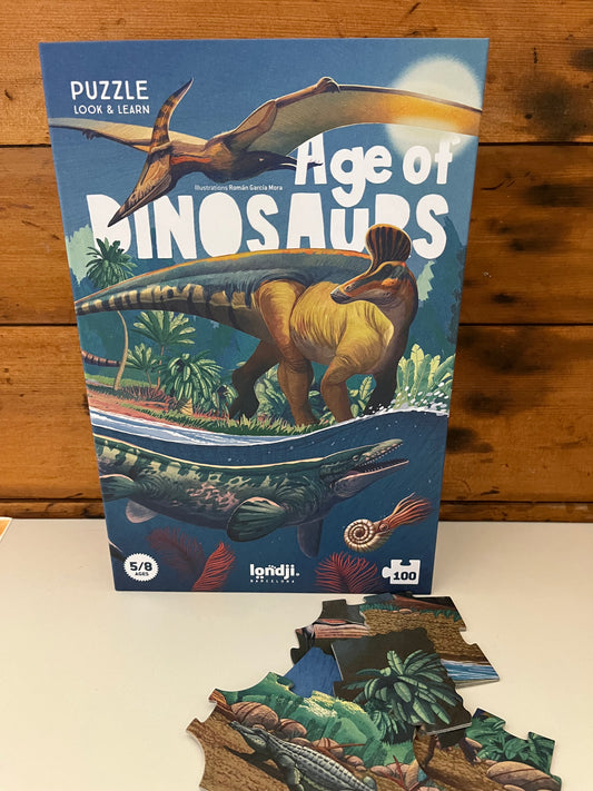 Educational Puzzle - AGE OF DINOSAURS!