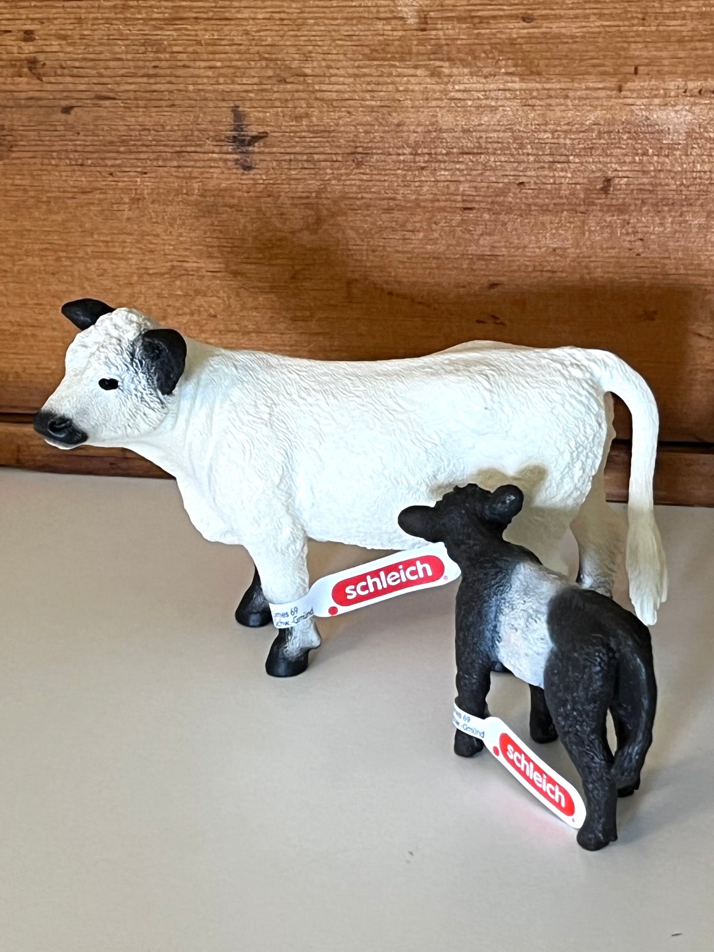 Farm Animals for Dollhouse Play - GALLOWAY CALF by Schleich