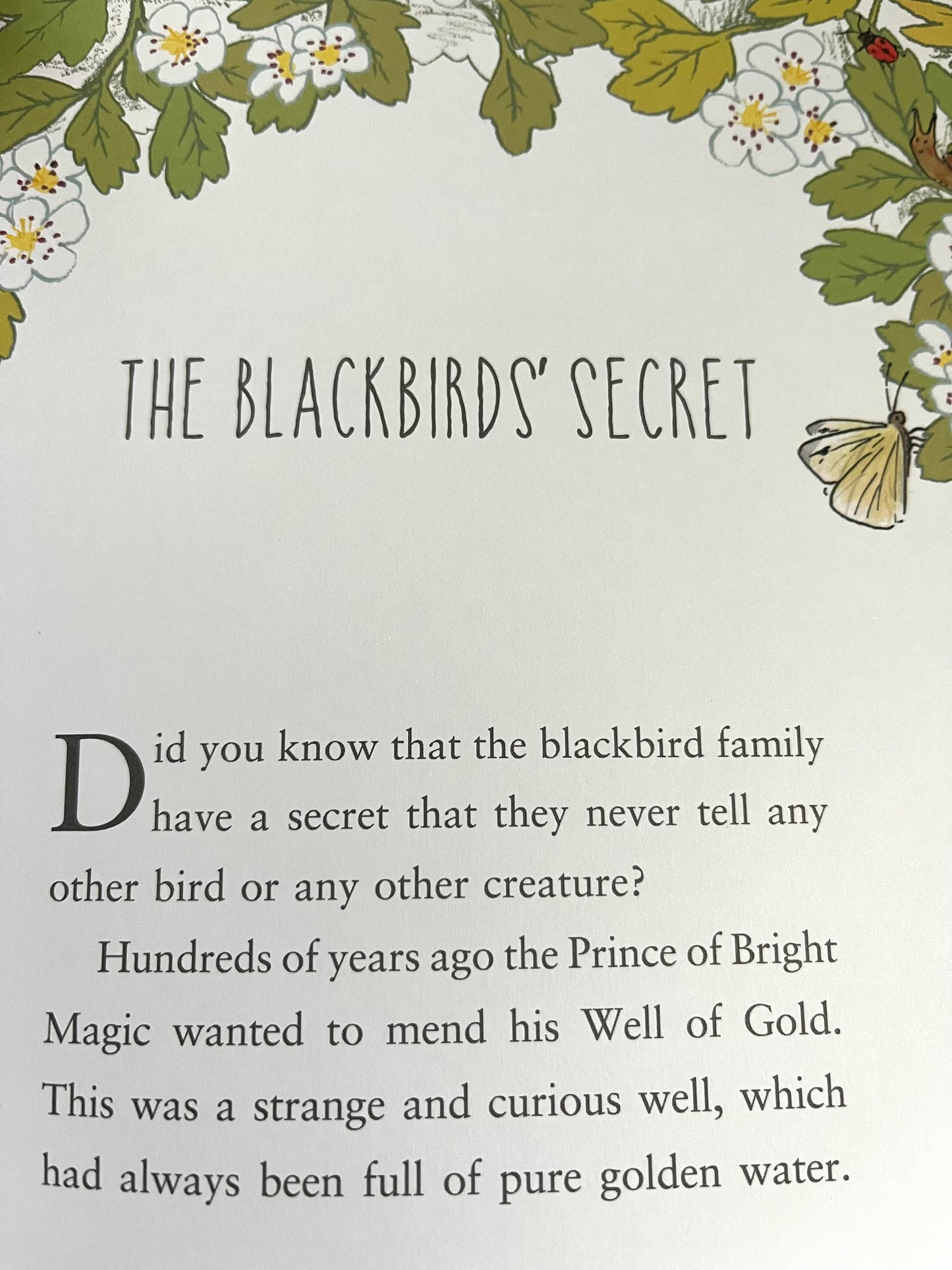 Children’s Picture Book - Enid Blyton’s STORIES OF ANIMAL SECRETS