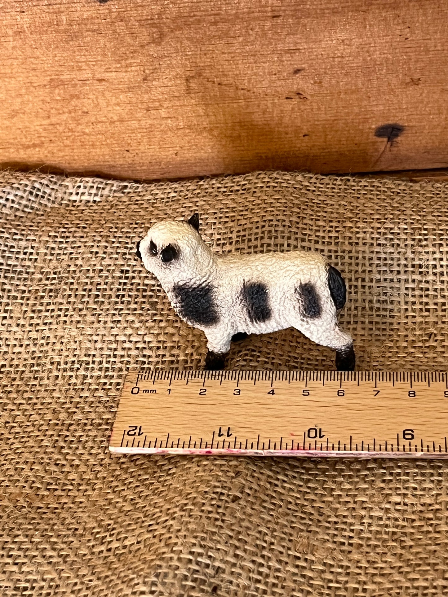 Farm Animals for Dollhouse Play - SOUTHDOWN SHEEP by Schleigh