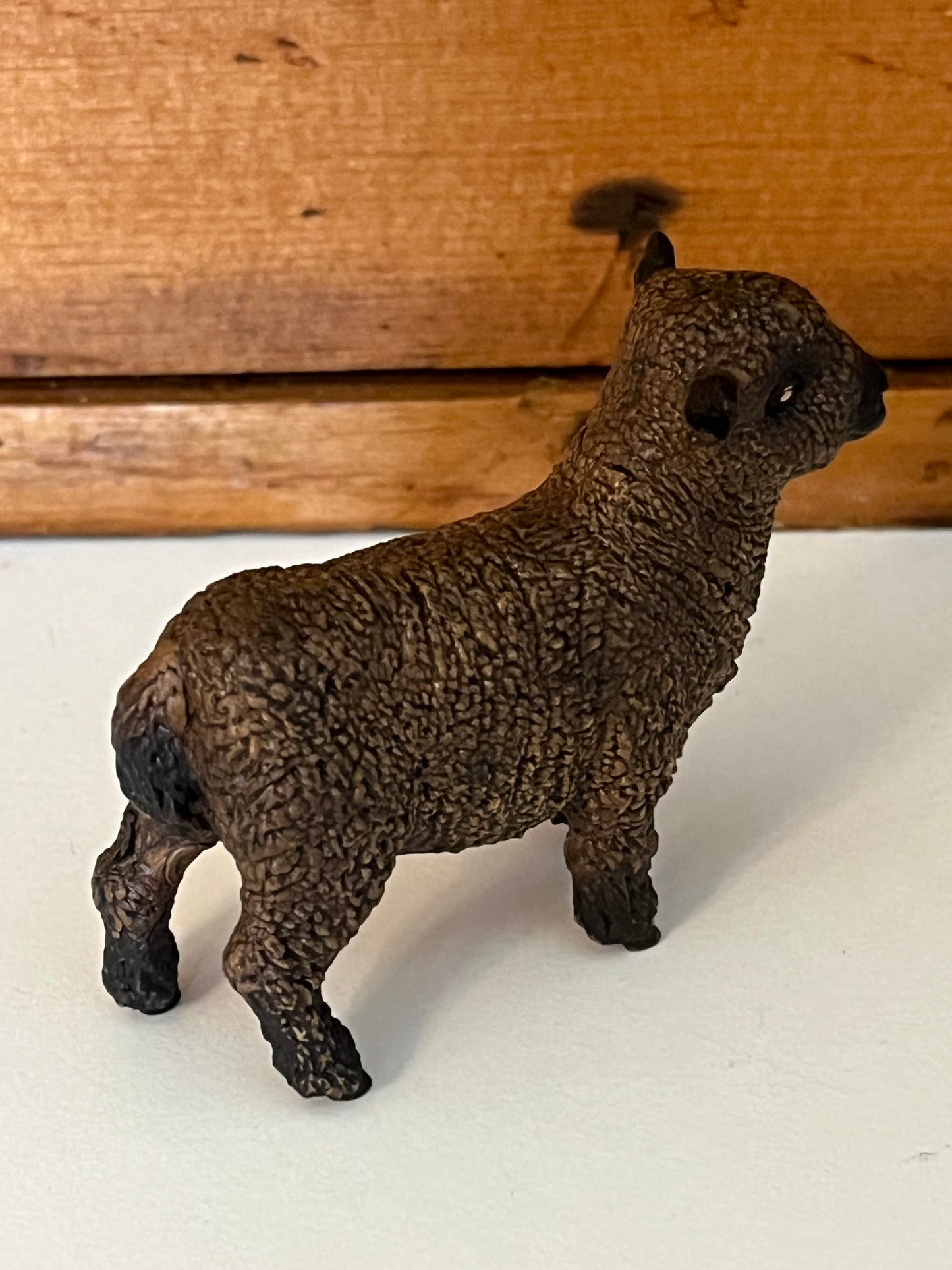 Farm Animals for Dollhouse Play - SHETLAND SHEEP by Schleich