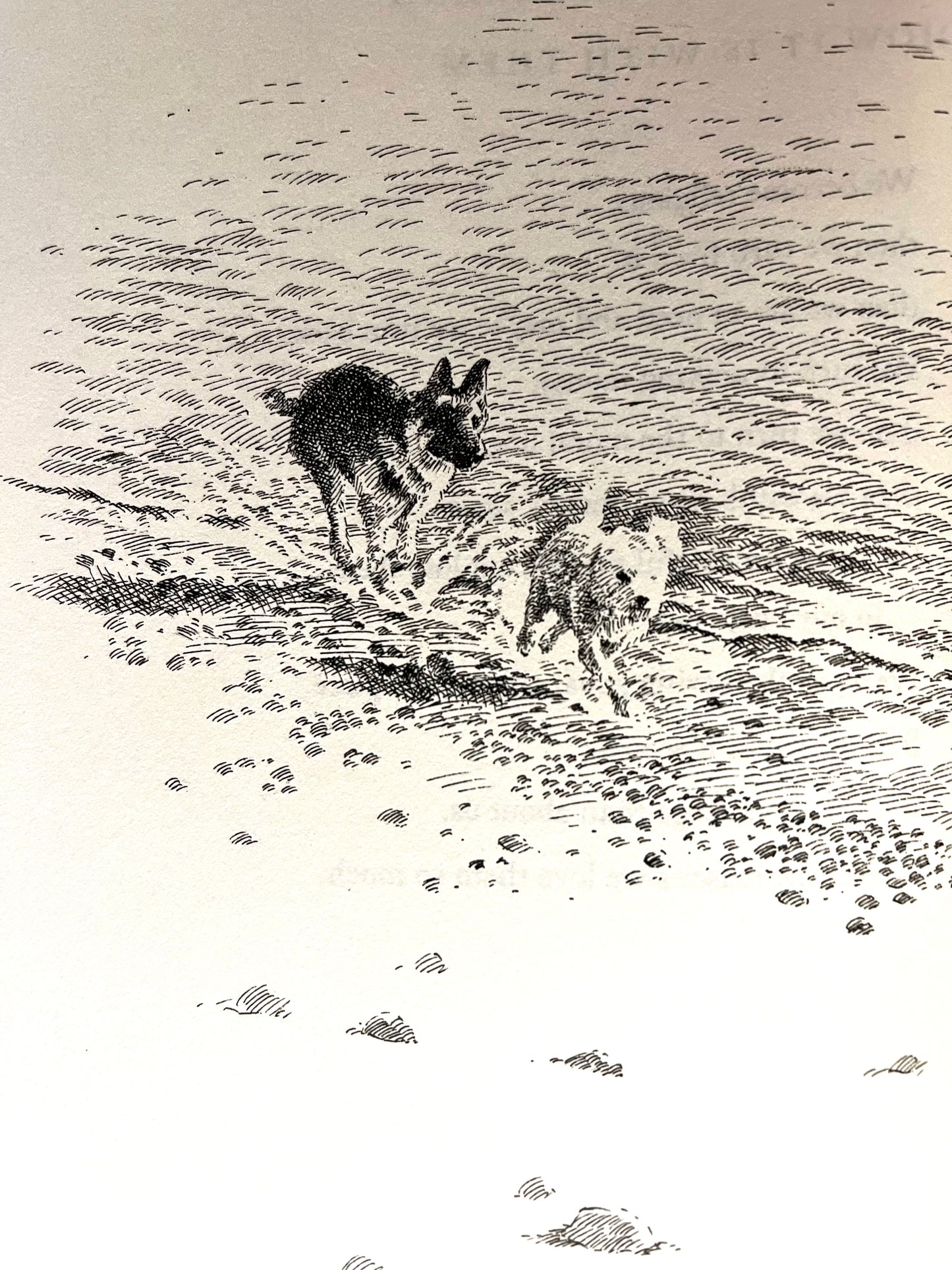 Parenting Resource Book - DOG SONGS, poems by Mary Oliver