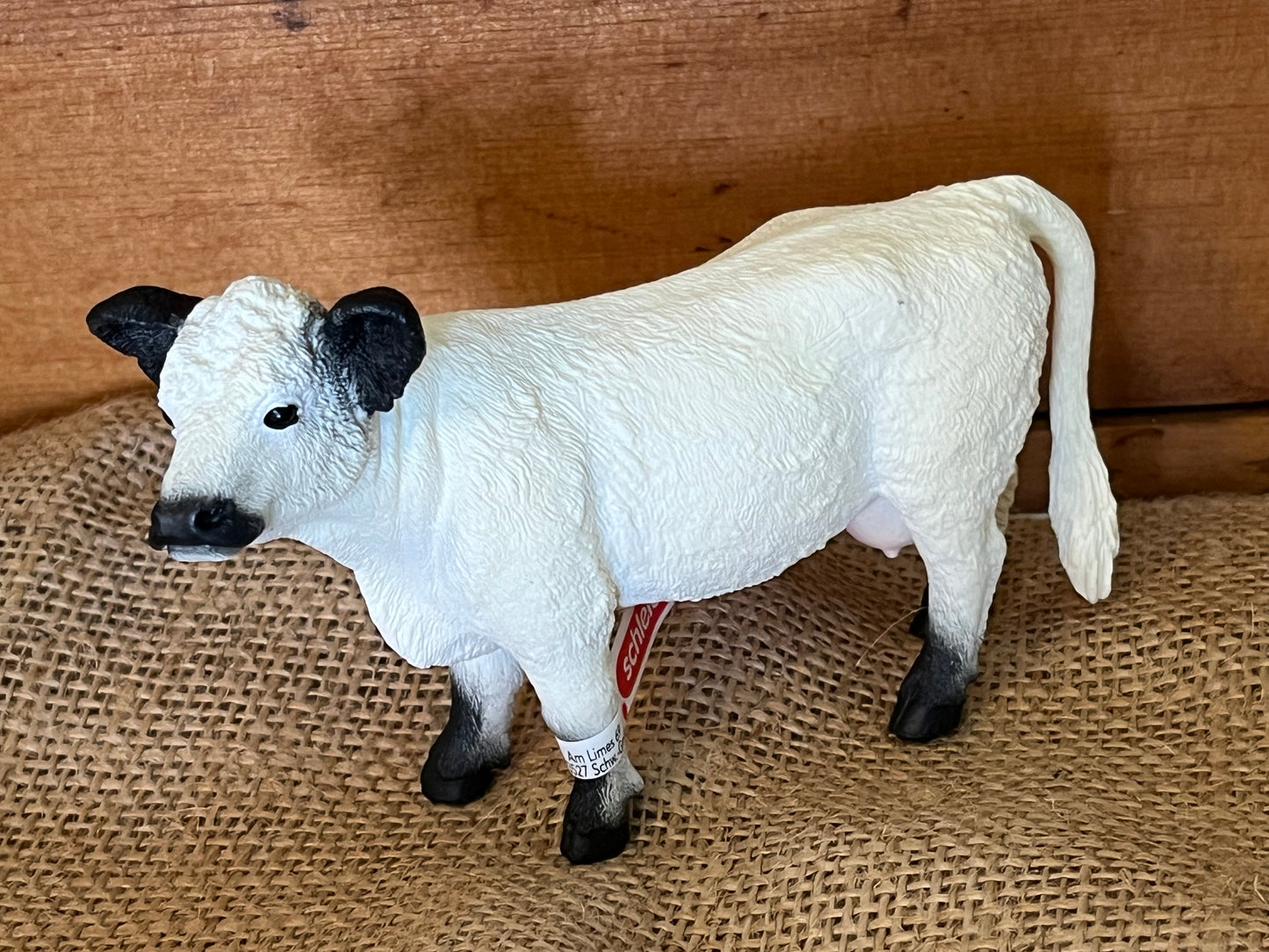 Farm Animals for Dollhouse Play - GALLOWAY COW by Schleich