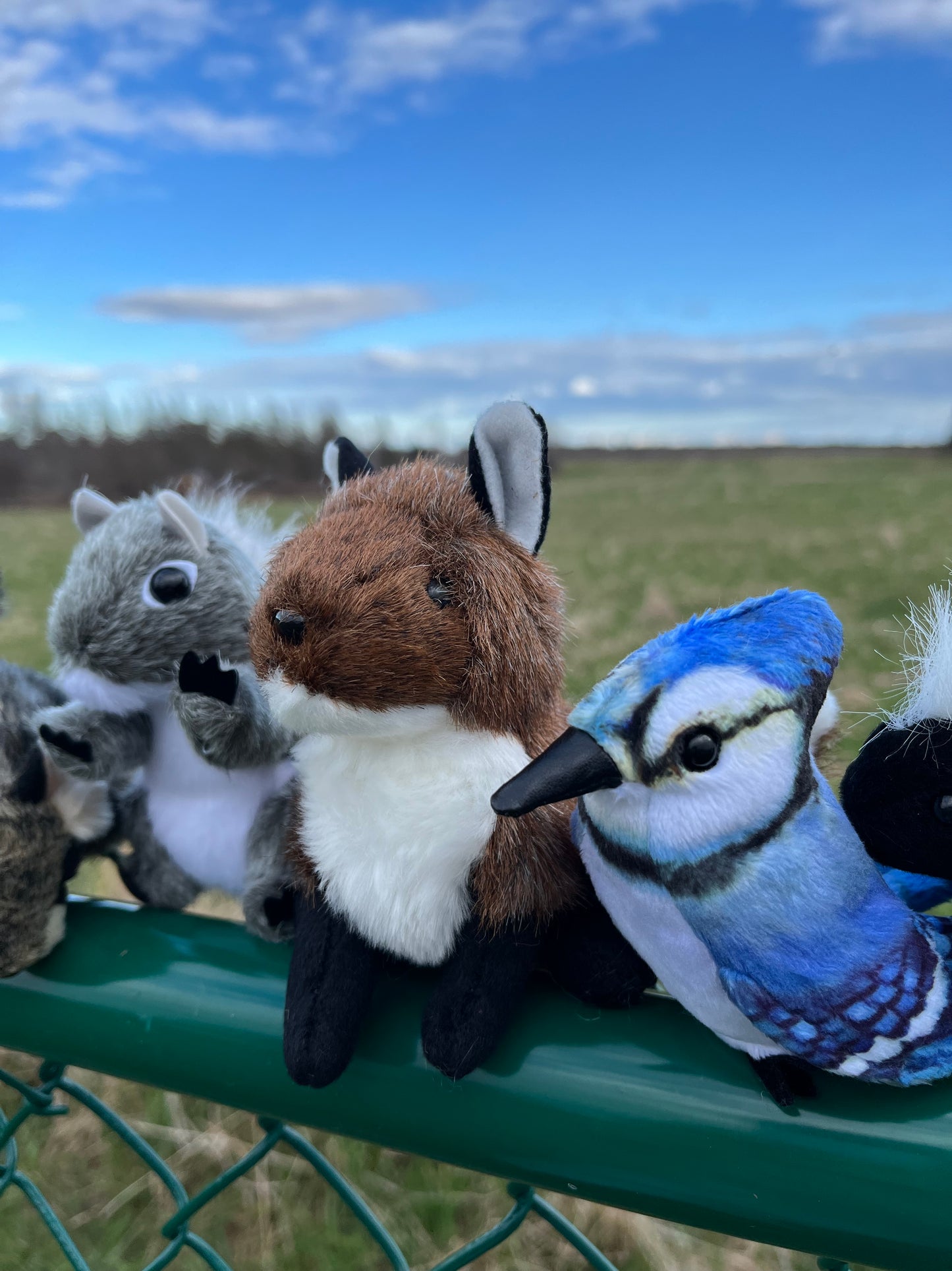 Ensemble de mini marionnettes douces - ANIMAUX SAUVAGES à TORONTO