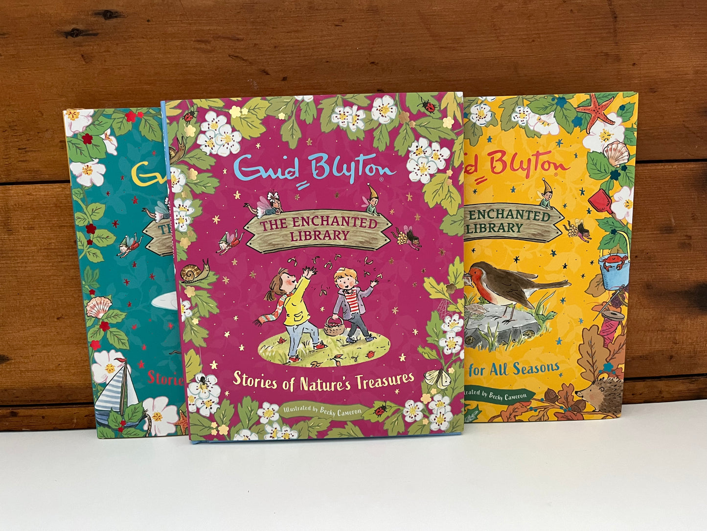 Children’s Picture Book - Enid Blyton’s STORIES FOR ALL SEASONS