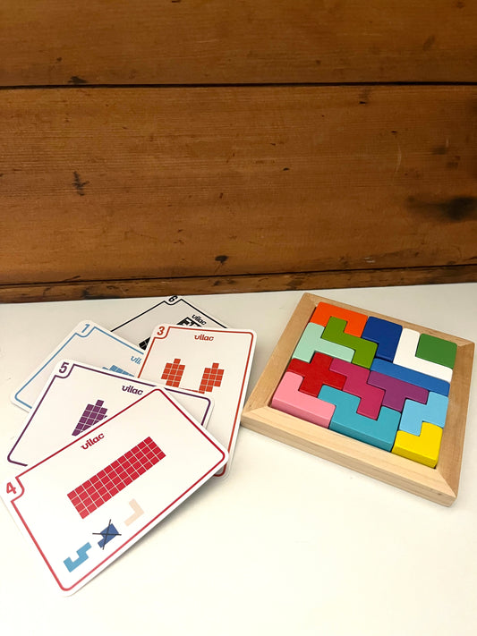 Activity Set - Wooden BRAIN TEASER Puzzle & Cards, 65 pieces!