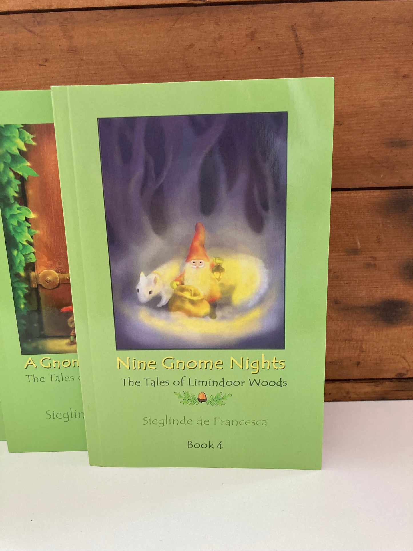 Chapter Book for Young Readers - TALES OF LIMINDOOR WOODS, 5 BOOK TITLES to choose!