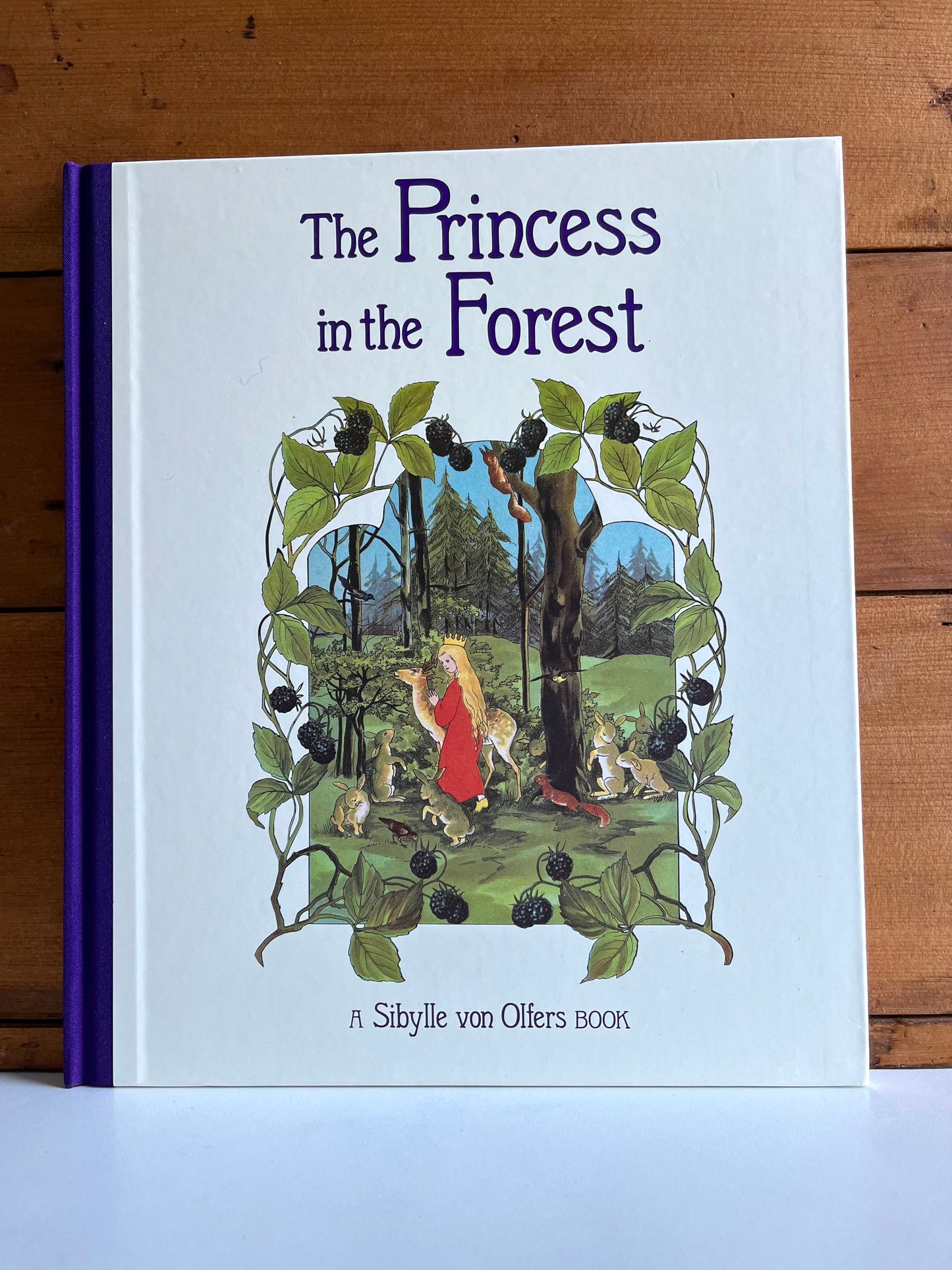 Children's Picture Book - THE PRINCESS in the FOREST