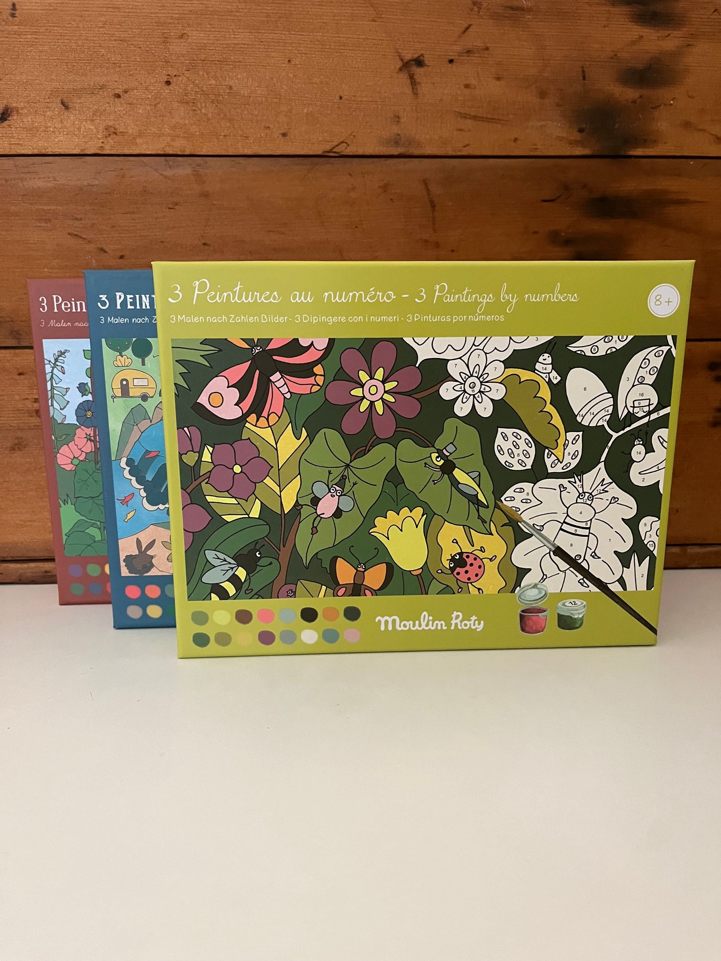 Art Activity Set - PAINT BY NUMBERS, IN THE GARDEN Scenes, 3 Paintings