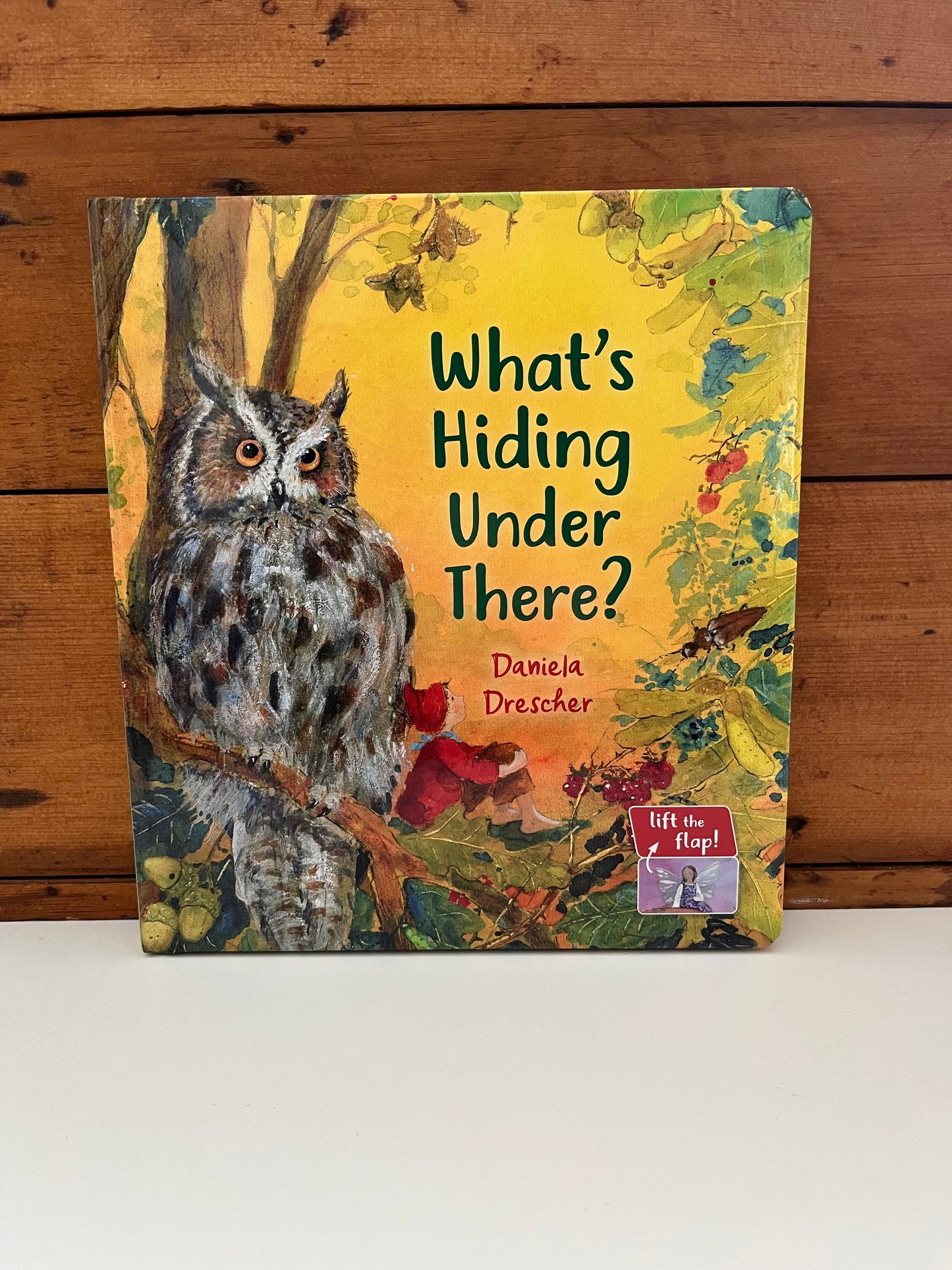 Board Picture Book, Baby - WHAT'S HIDING IN THERE?...a lift-the-flaps book!