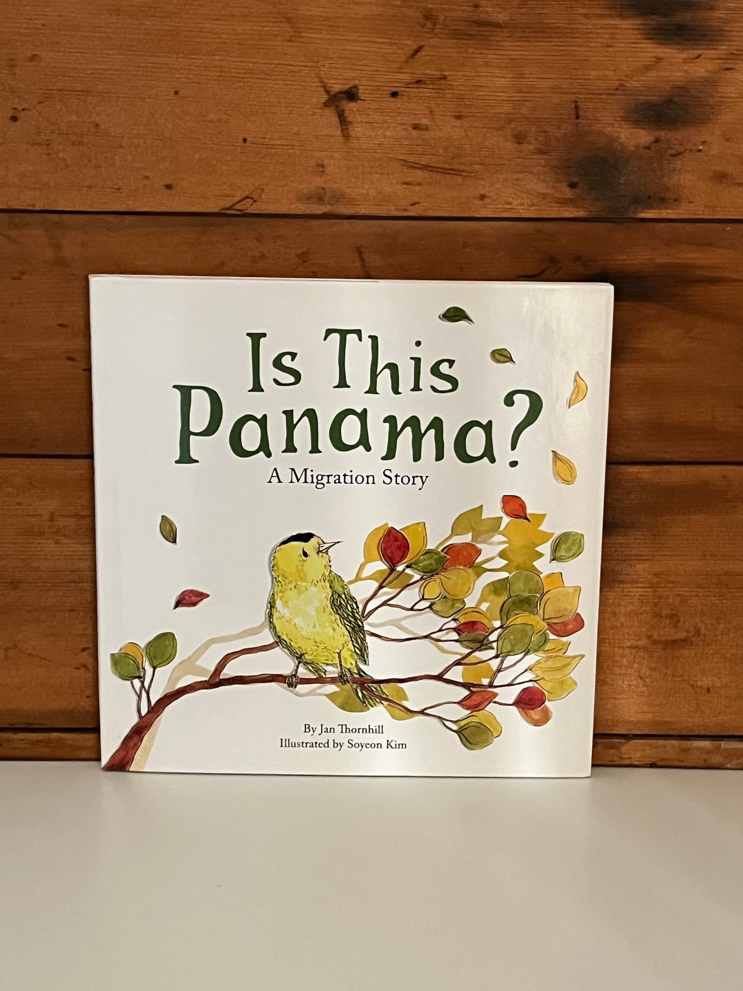 Children’s Picture Book - IS THIS PANAMA? (A Migration Story)