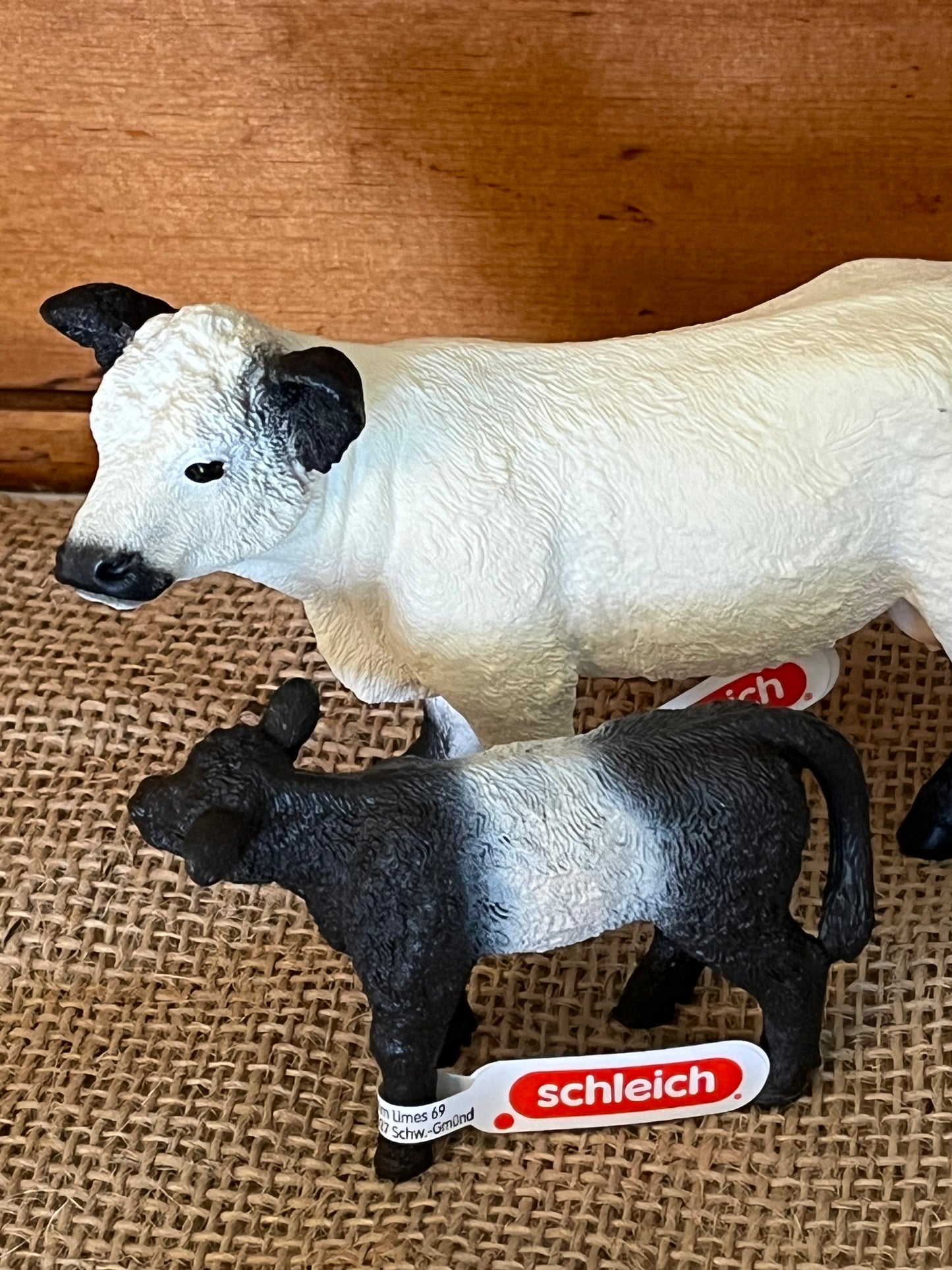 Farm Animals for Dollhouse Play - GALLOWAY CALF by Schleich