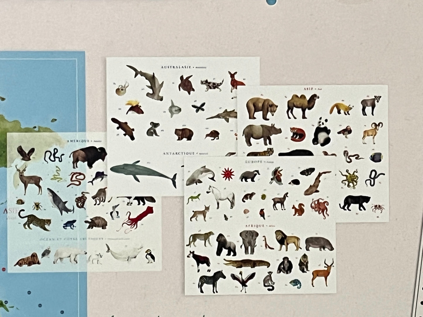 Coffret d'affiches pédagogiques - CARTE DES ANIMAUX DU MONDE, 107 transferts d'animaux !
