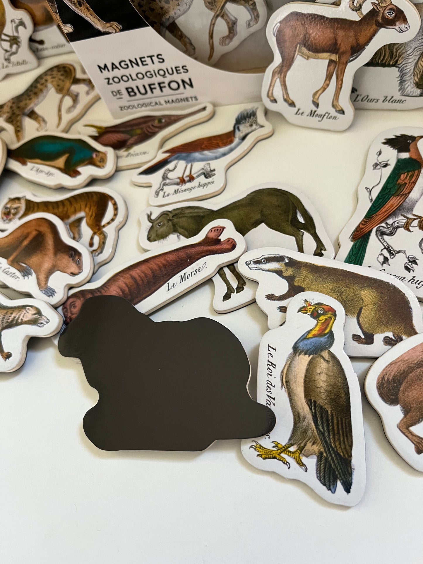 Activity Set - Wooden MAGNETS, "Natural History Zoological", 20 magnets!