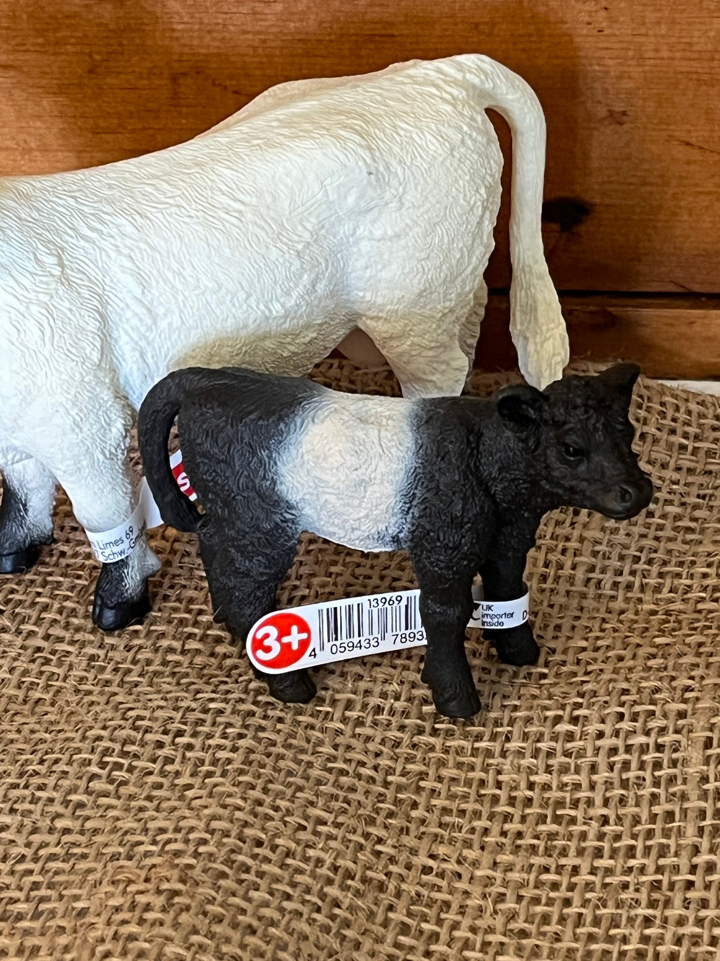 Farm Animals for Dollhouse Play - GALLOWAY CALF by Schleich