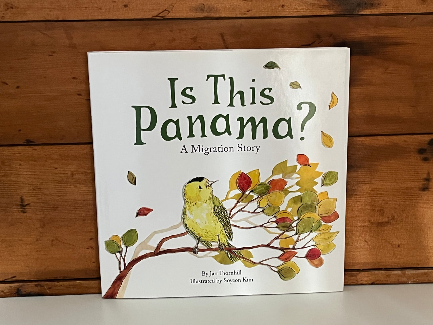 Livre d'images pour enfants - EST-CE QUE CE SOIT LE PANAMA ? (Une histoire de migration)