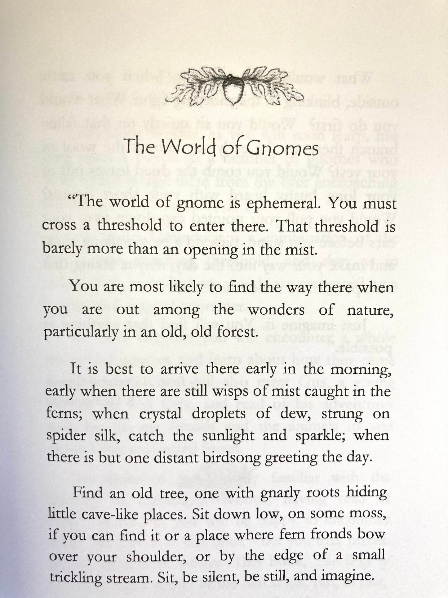 Chapter Book for Young Children - A DONSY OF GNOMES