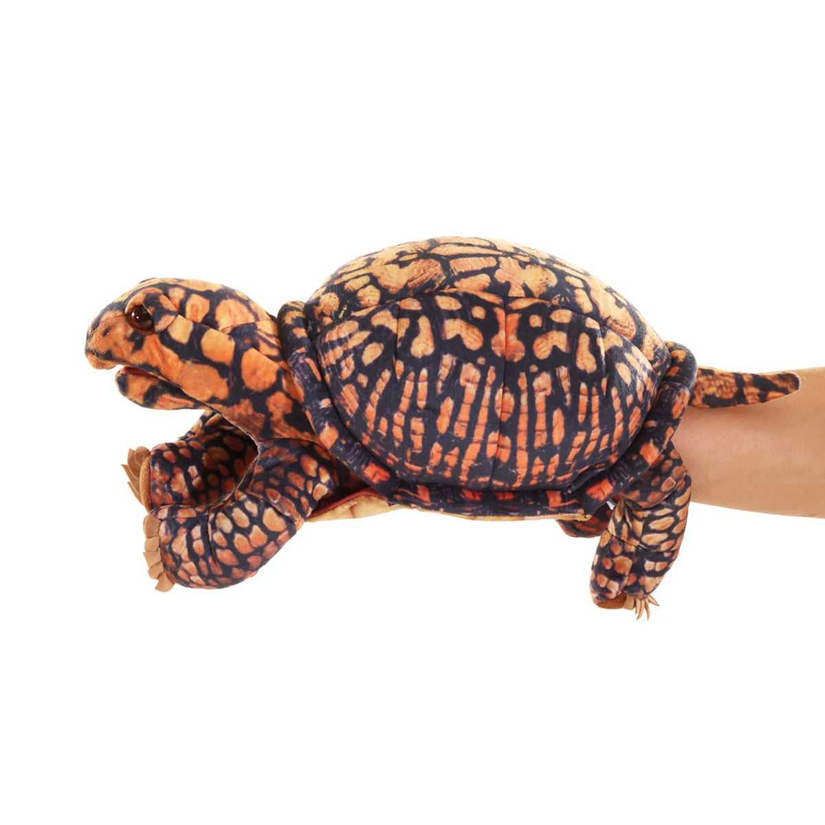 Soft Puppet Toy - North American BOX TURTLE