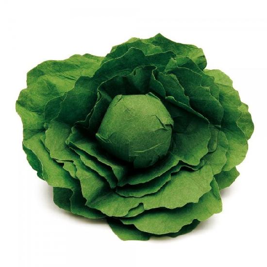 Kitchen Play Food - HEAD OF LETTUCE
