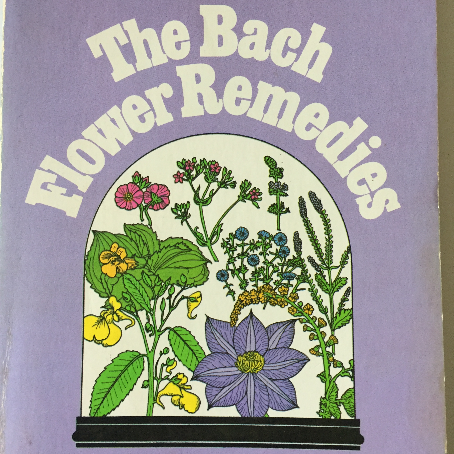 Bach Holistic Flower Remedies - OAK