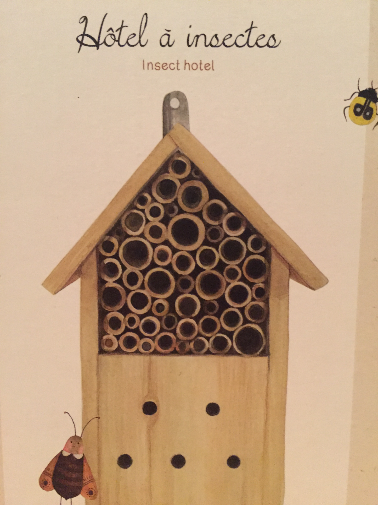 Educational Wooden INSECT HOTEL