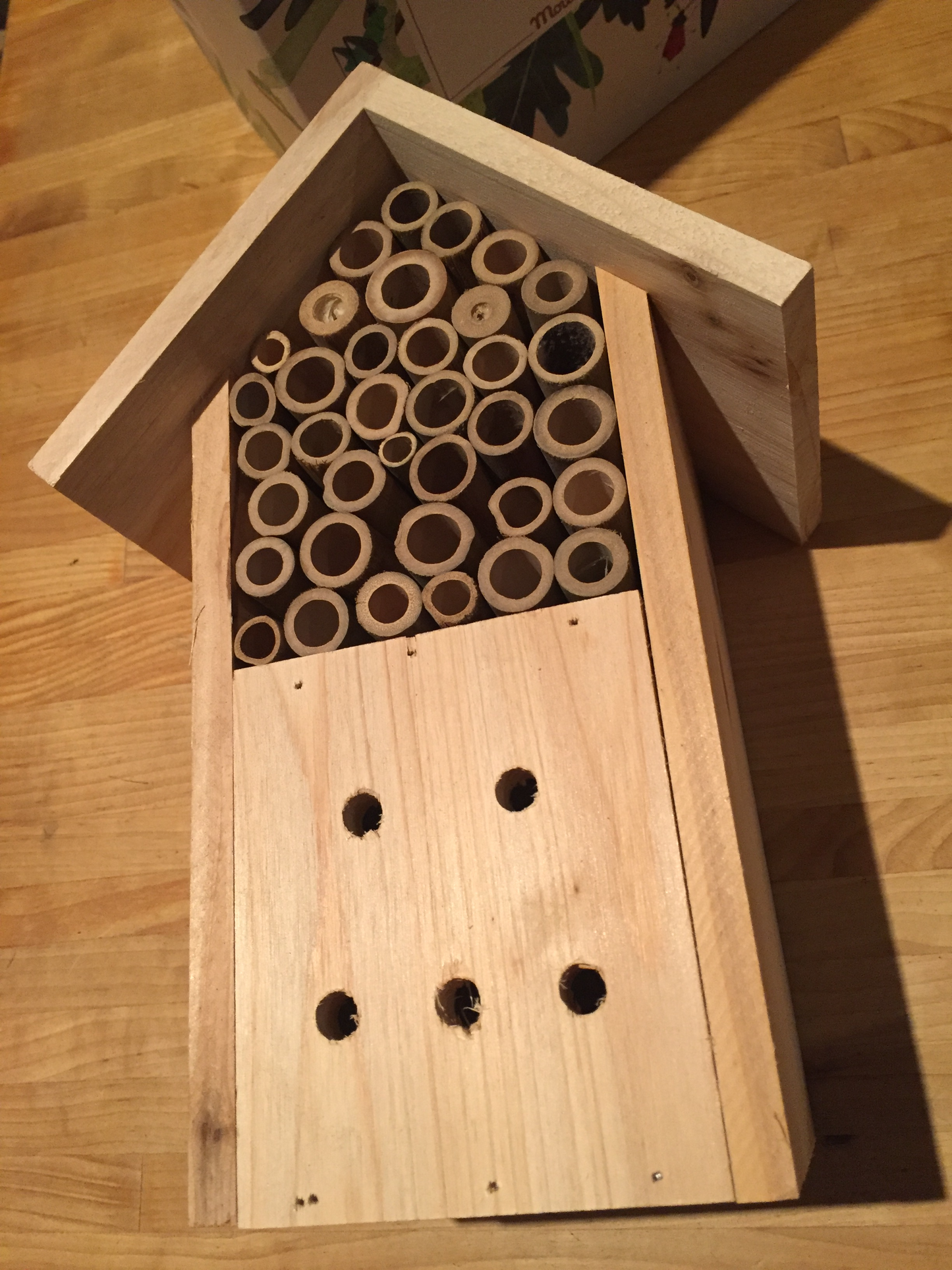 Educational Wooden INSECT HOTEL