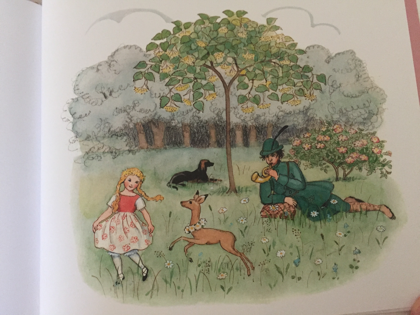 Livre d'images pour enfants - ROSALINDE ET LE PETIT CERF