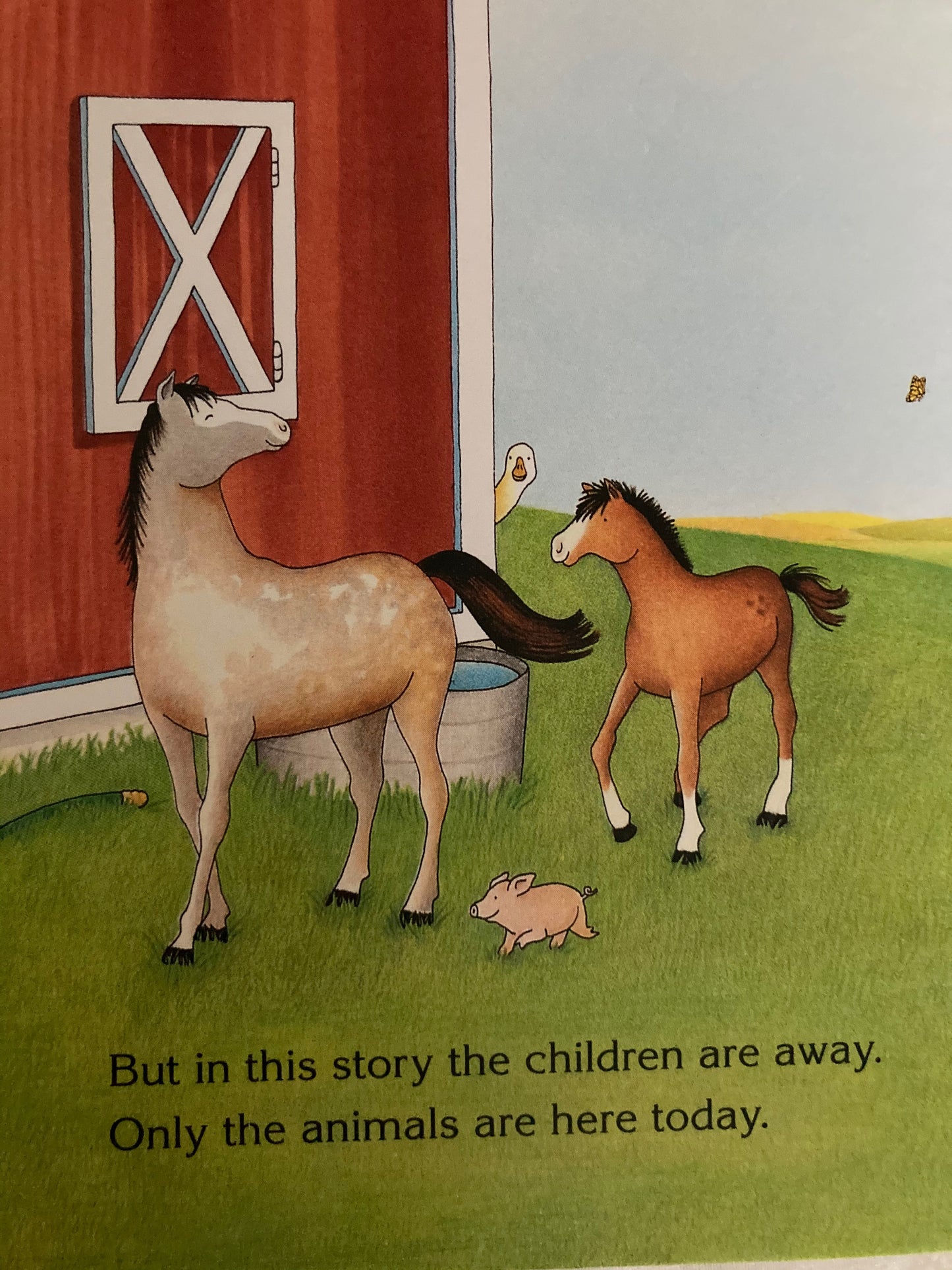 Livre cartonné, Bébé - BIG RED BARN