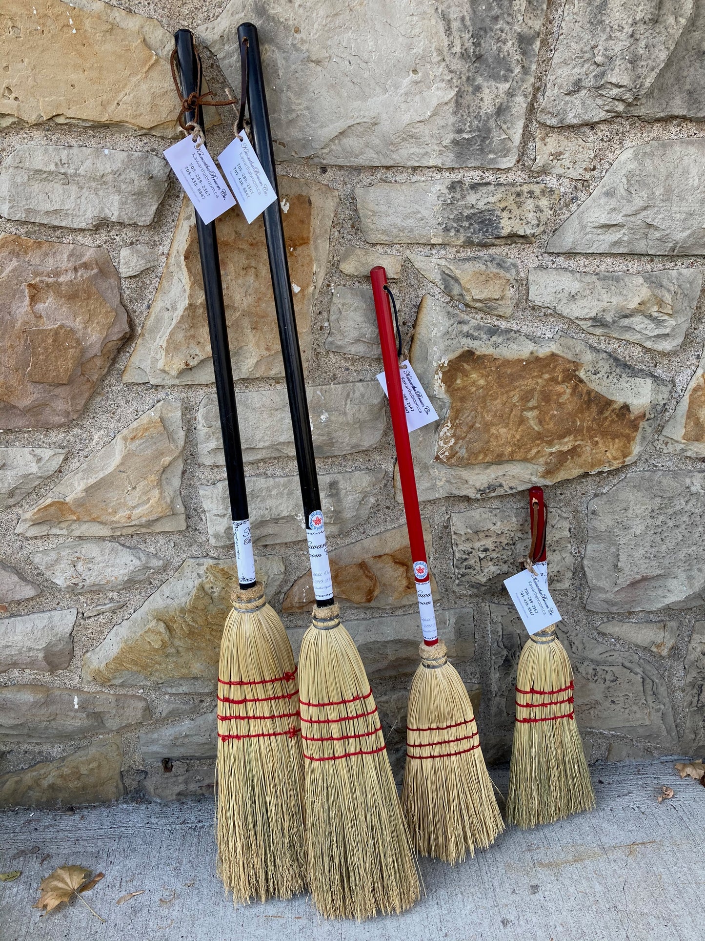 EcoHome - WHISK BROOM