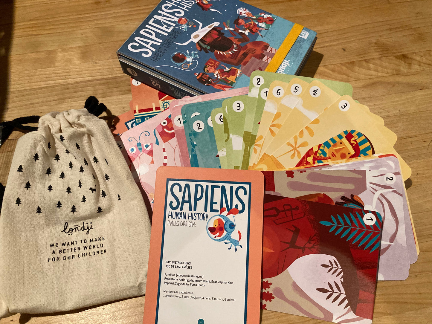 Coffret d'activités de cartes éducatives - SAPIENS, HISTOIRE HUMAINE