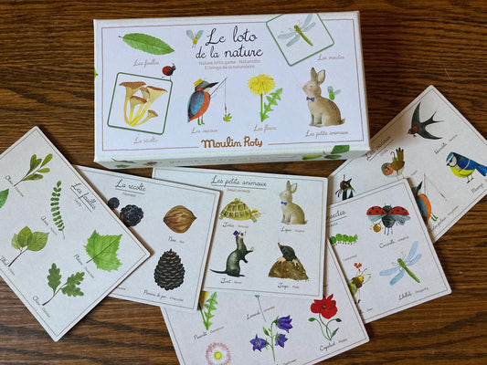 Educational Memory Game Set - NATURE'S MATCH-UP