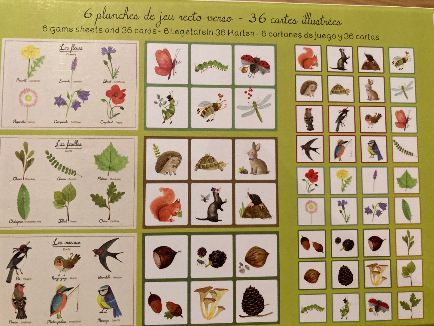 Educational Memory Game Set - NATURE'S MATCH-UP