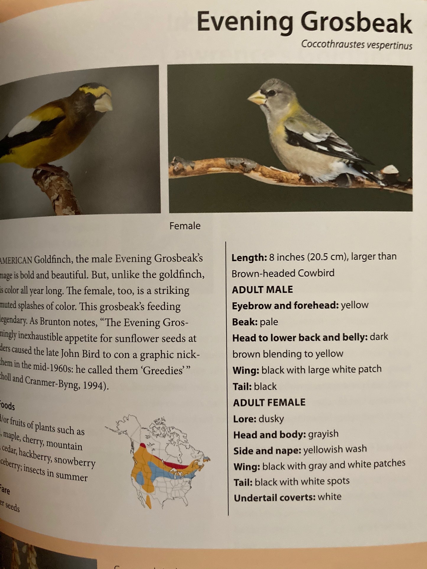 Educational Reference Book - FEED THE BIRDS