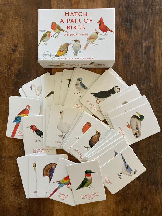 Educational Memory Game - MATCH A PAIR OF BIRDS
